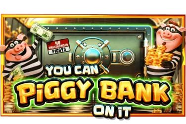 sr04r Live Casino Mechanics